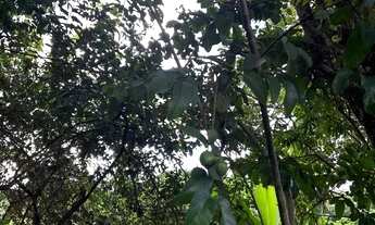 Imagem 7: Lote no jardim botânico Itaipu 7 próximo ao ouro vermelho 1