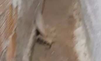 Imagem 7: Casa com 5 cômodo e terreno para construir deck ainda se preferir