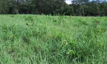 Imagem 3: Vendo 16.20 alqueires no município de Araguapaz