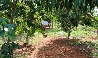 Imagem 3: CHACARA A SUA OPORTUNIDADE