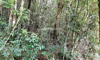 Imagem 6: Lote de Terreno à Venda na Região do Parque Pedra do Baú - Campos do Jordão/SP