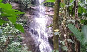 Imagem: Fazenda em região privilegiada! Verde