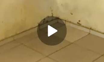 Imagem: Casa para alugar