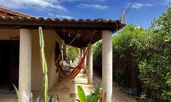 Imagem 4: Sítio Siriguela