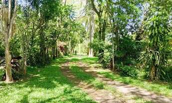 Imagem 2: Chácara à venda em Nova Santa Rita - 1,5ha de área próximo à BR-386 REF: CS0109