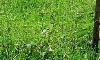 Imagem: Terreno em Local Tranquilo bairro Tiradentes