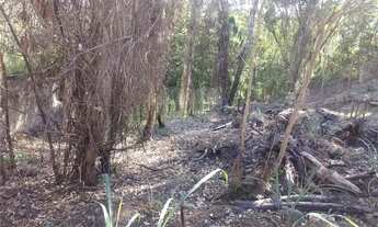 Imagem 3: Terreno à venda em Itaipu - RJ
