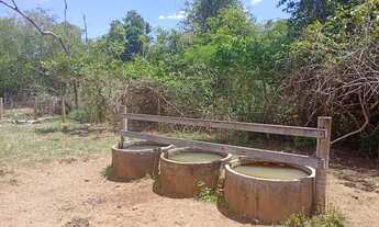 Imagem 2: Terreno Rural com 3 represas e ótima estrutura