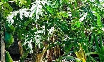 Imagem 6: Oportunidade única! Sabrado amplo com piscina e quintal em (Manilha) - Itaboraí - RJ