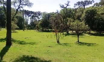 Imagem: Terreno à Venda em Canela!