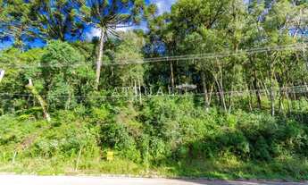 Imagem 6: TERRENO NA VILA SUZANA