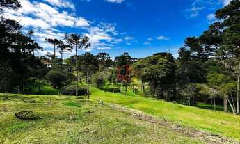 Imagem 5: Terreno à Venda em São Francisco de Paula!