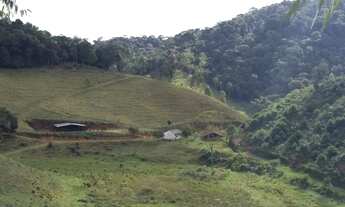 Imagem 6: Fazenda em região privilegiada! Verde, nascentes, lago, benfeitorias e muito mais! Aprovei
