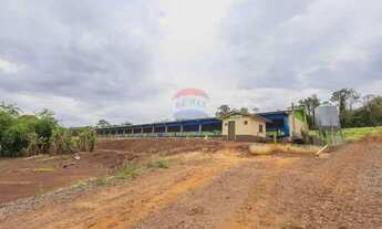 Imagem 9: Granja de Suínos Terminação