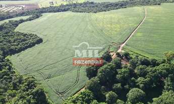 Imagem: Fazenda 38 Alqueires (183,08 Hectares) Rio
