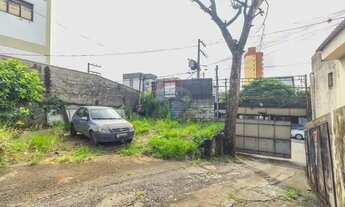 Imagem 7: Procurando uma excelente oportunidade de investimento em uma das regiões mais promissoras