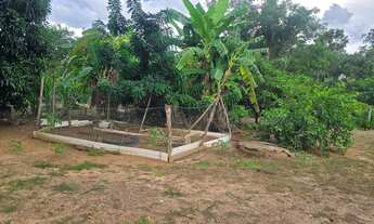 Imagem 7: Chácara a venda