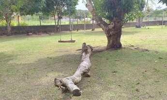 Imagem 7: Aluga-se ou vende-se