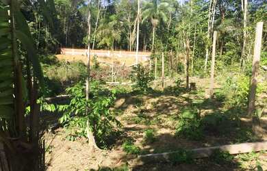 Imagem 7: Terreno para venda na estrada do Cetur