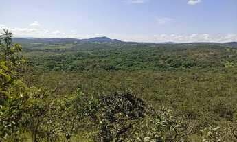 Imagem 2: Terreno Chácara 3 Alqueires 5 Km BR 414 Cocalzinho de Goiás
