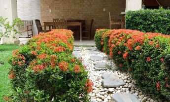 Imagem 7: CD Biratan Carvalho | Aracaju