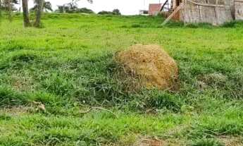 Imagem 5: TERRENO EM CONDOMÍNIO - PAISAGEM RENOIR - SP