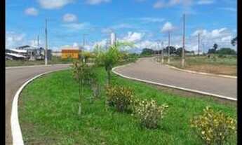 Imagem 5: Lote no loteamento Terra Nova Amapá