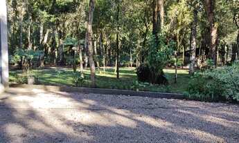 Imagem 3: Chácara a venda em campo largo da roseira são josé dos pinhais