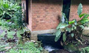 Imagem 4: Sítio com 14 hectares contendo cachoeiras na Serra Gaúcha