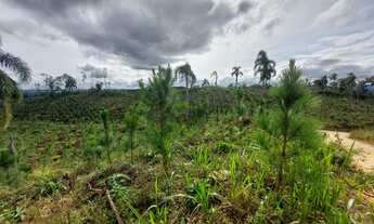 Imagem 5: CHÁCARA com 1 dormitório à venda com 339694m² por R$ 980.000,00 no bairro MACACOS - BOCAIU