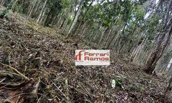 Imagem 4: Terreno à venda, 20000 m² por R$ 1.700.000,00 - Aralú - Santa Isabel/SP