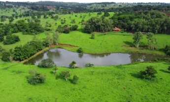 Imagem: Linda Fazenda em Goiânia (atrás do Aldeia