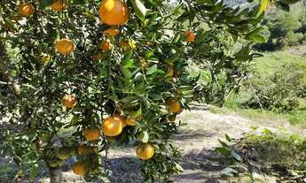 Imagem: Itaboraí caminho para Maricá terra de
