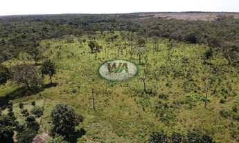 Imagem: Fazenda próxima da cidade