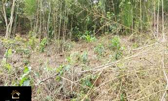Imagem 3: Vendo Lotes no bairro Retiro de Paty em Paty do Alferes - RJ