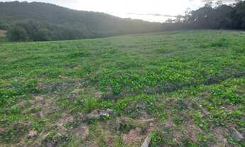 Imagem 4: Lote/Terreno para venda tem 600 metros quadrados em Jardim Felicidade (Zona Norte) - São P