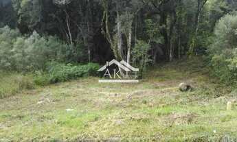 Imagem 2: Terreno ao lado de Área Verde em Nova Petrópolis, na Serra Gaúcha