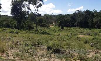 Imagem 3: Lote/Terreno para venda possui 13.500 metros quadrados