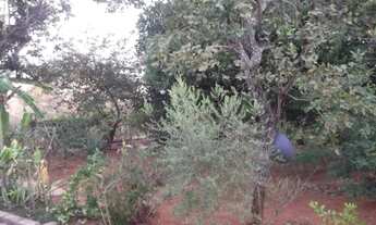 Imagem 7: Sitio de 1.000m² todo telado, Jaboticatubas(Temos varias opções)