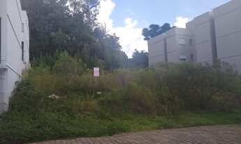 Imagem: Terreno Loteamento Agenor Balen