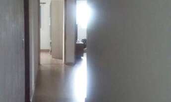 Imagem 7: Chácara com 7.000 metros, e casa de 300 m2