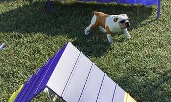 Imagem 6: Apartamento para venda com 51 metros quadrados com 2 quartos em Ponta Negra - Natal - RN