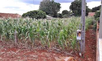 Imagem 2: São Pedro do Iguaçu - Lote/Terreno - Centro