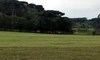 Imagem: Chácara com 102834 m2 plana com nascente