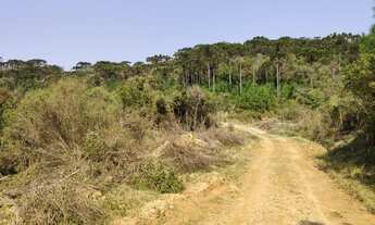 Imagem 4: Terreno para Venda, 435.600,00 m², Campo Alegre / SC, bairro Rodeio Grande