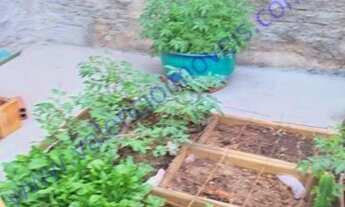 Imagem 6: Venda - Casa - Morada do Sol - Americana - SP