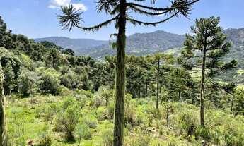Imagem 5: Chácara em Urubici