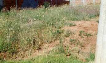 Imagem 4: Terreno 10x25 metros em Pereira Barreto -SP