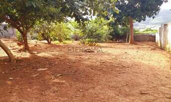 Imagem 4: BORDA DA MATA - Terreno Padrão - Sao Judas Tadeu