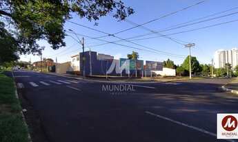 Imagem 2: Terreno (terreno normal